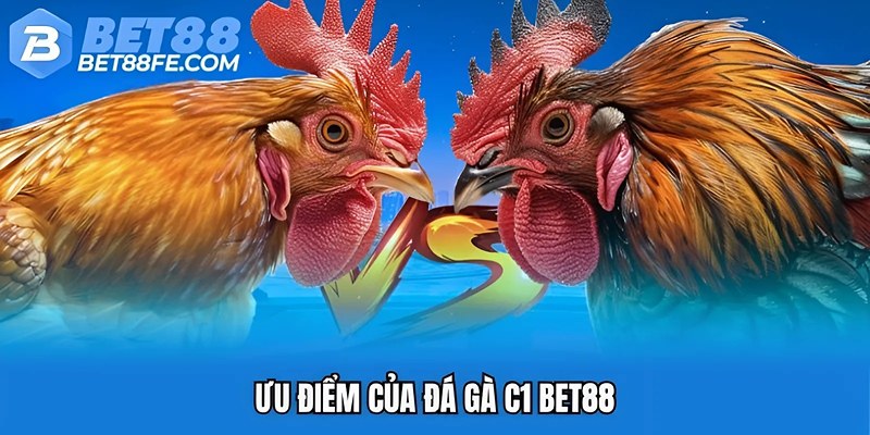 Ưu điểm của đá gà C1 Bet88