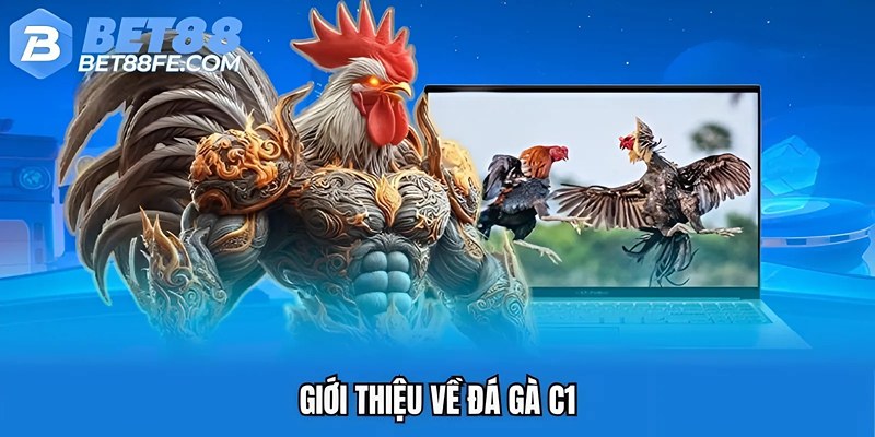 Giới thiệu về đá gà C1