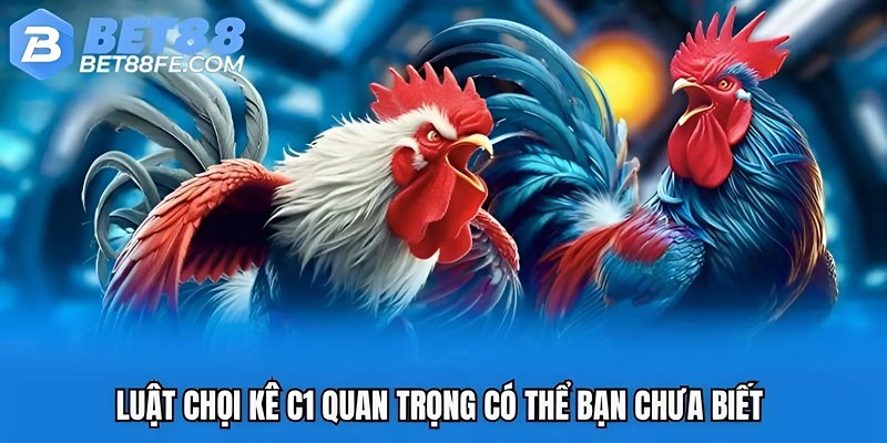 Luật chọi kê C1 quan trọng có thể bạn chưa biết