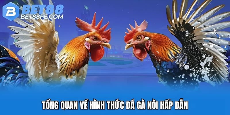 Tổng quan về hình thức đá gà nòi hấp dẫn