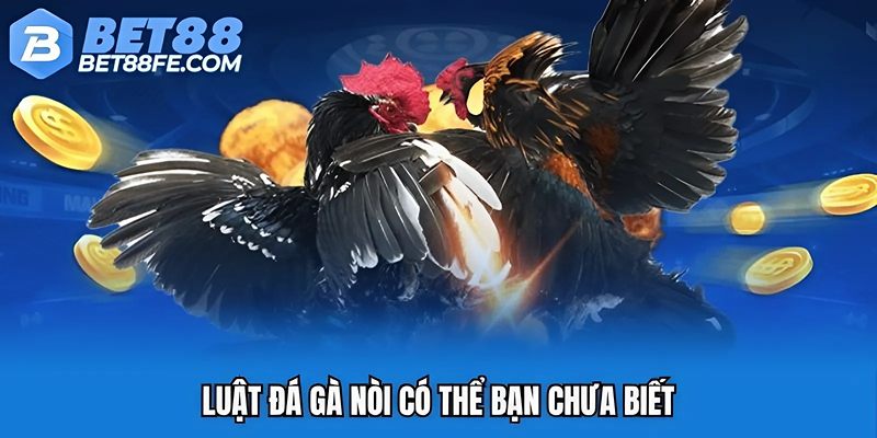 Luật đá gà nòi có thể bạn chưa biết