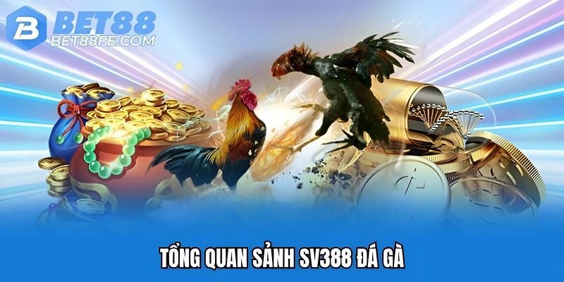Tổng quan sảnh SV388 đá gà
