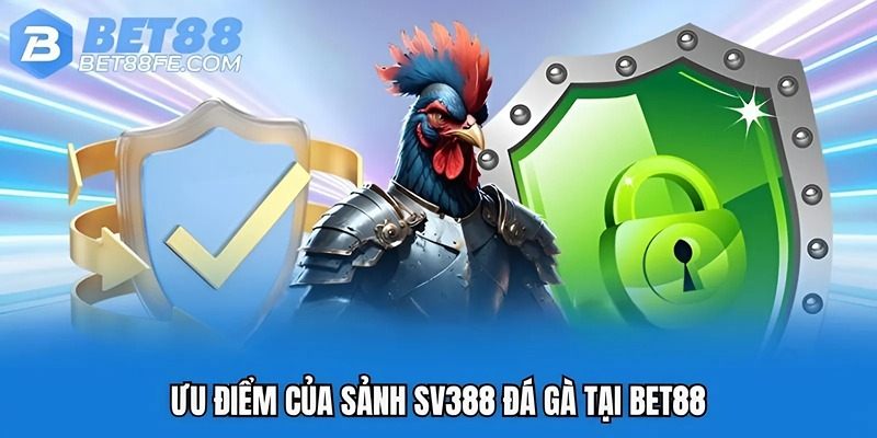 Ưu điểm của SV388 đá gà