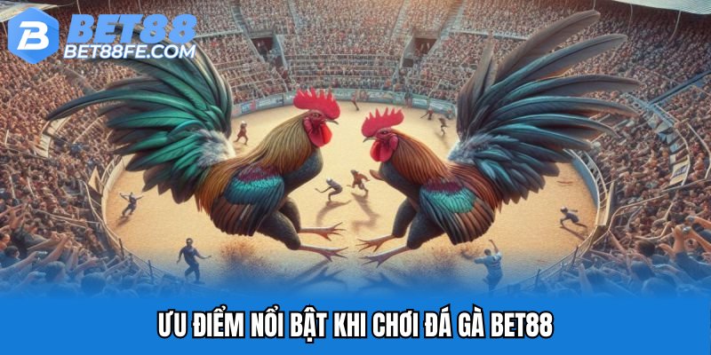Ưu điểm nổi bật khi chơi đá gà Bet88